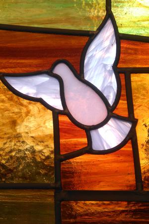 Scalabrini dove