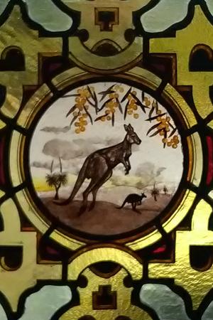 Mosman Kangaroo